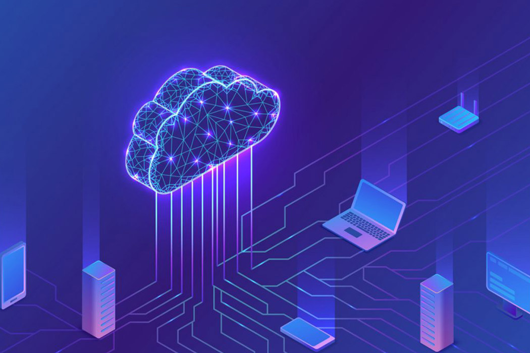 About Natsoft Corporation